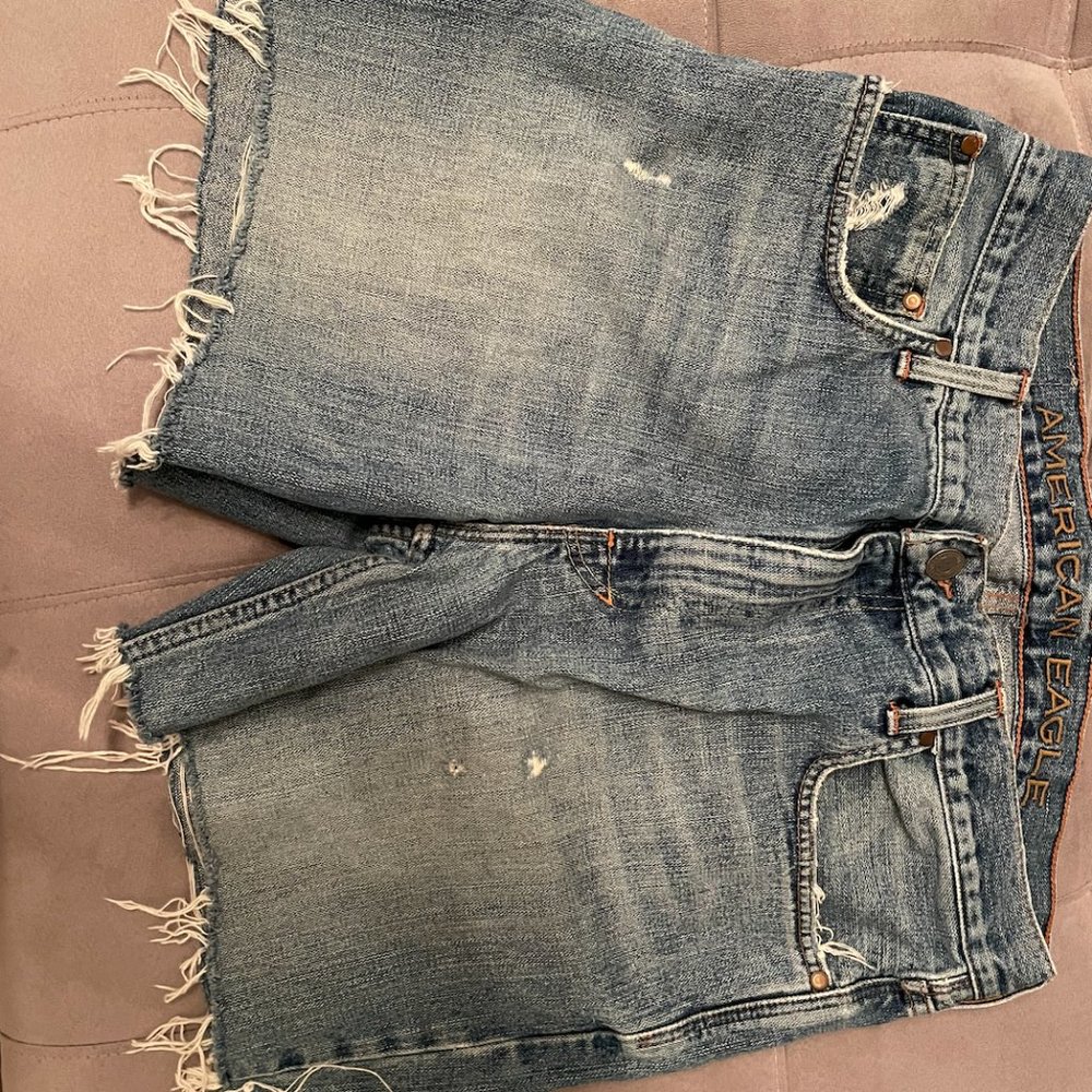 Men's Jorts